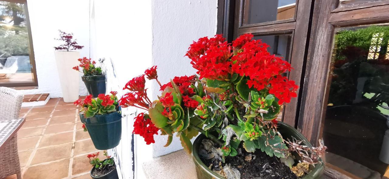 Alhaurín de la Torre Roca Verde, Boutique Bed & Breakfast (Adults Only) מראה חיצוני תמונה
