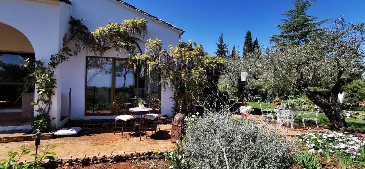 Alhaurín de la Torre Roca Verde, Boutique Bed & Breakfast (Adults Only) מראה חיצוני תמונה