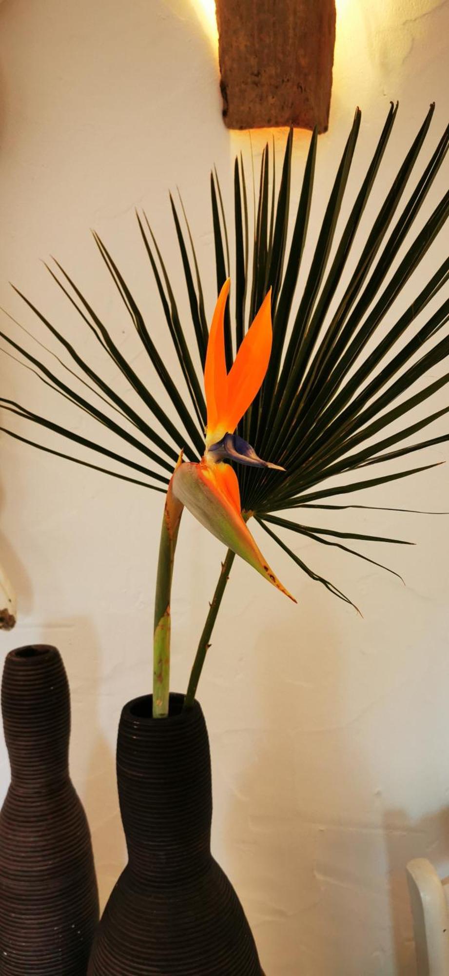 Alhaurín de la Torre Roca Verde, Boutique Bed & Breakfast (Adults Only) חדר תמונה