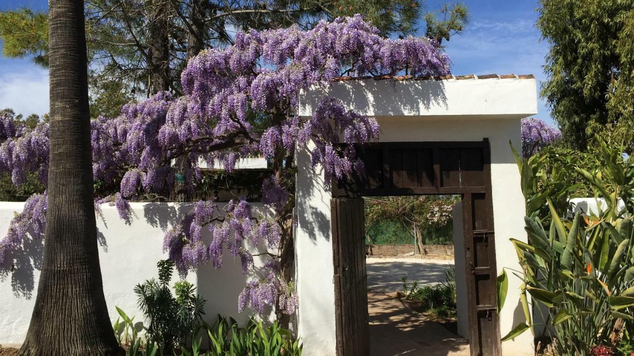 Alhaurín de la Torre Roca Verde, Boutique Bed & Breakfast (Adults Only) מראה חיצוני תמונה