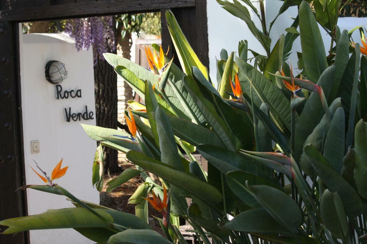 Alhaurín de la Torre Roca Verde, Boutique Bed & Breakfast (Adults Only) מראה חיצוני תמונה