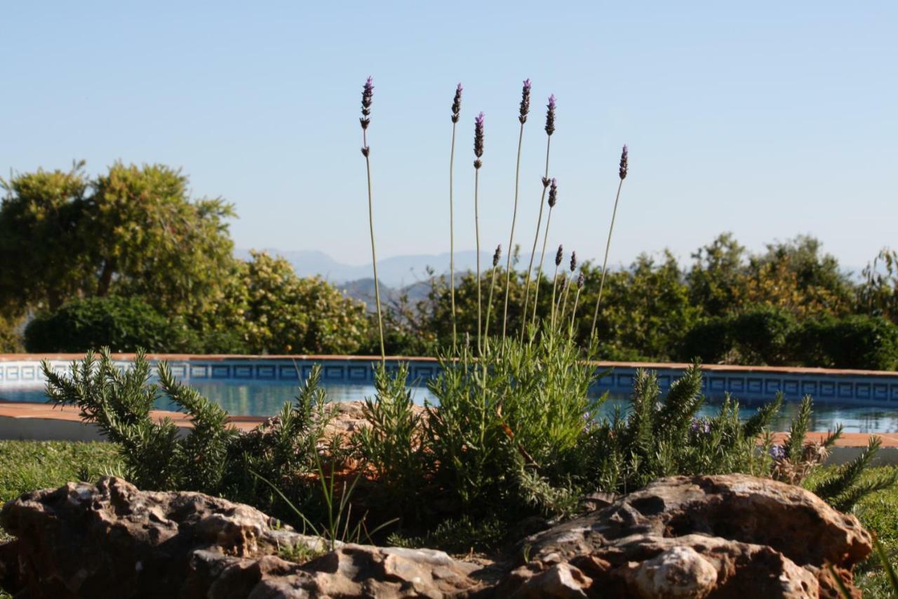 Alhaurín de la Torre Roca Verde, Boutique Bed & Breakfast (Adults Only) מראה חיצוני תמונה